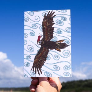 Wedge-tailed Eagle Bird Greeting Card Native Australian Birthday Card Hand Drawn Recycled Paper Bush Blank Card All Occasion Nature Card