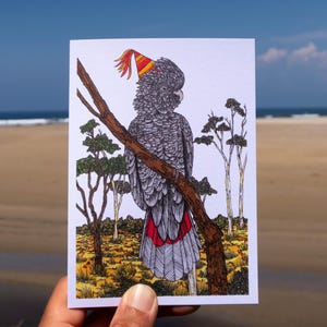 Red-Tailed Black Cockatoo Bird Greeting Card Native Australia Birthday Art Card Hand Drawn Recycled Paper Party Blank Card Nature Card