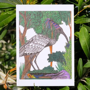 Ibis Bird Party Greeting Card Native Australian Birthday Card Hand Drawn Recycled Paper Unique Art Card All Occasion Nature Bin Chicken Card