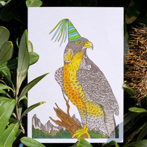 Peregrine Falcon Bird Greeting Card Native Australia Birthday Party Card Hand Drawn Recycled Paper Print Blank Card Mountain Art Nature Card