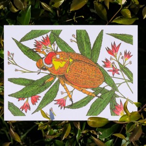May include: A detailed illustration of a beetle with an orange body, red head, and yellow details, set amongst green leaves and red flowers. The artwork is framed by a background of green foliage.