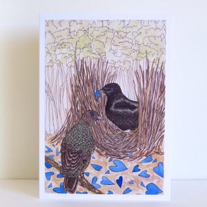 Satin Bowerbird Blue Nest Australian Bird Card for Anniversary Wedding Valentines Aussie Animal Love Hand-drawn unique art recycled paper