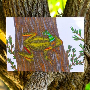 Little Johns Tree Frog Greeting Card Native Australia Birthday Card Hand Drawn Custom Party Blank Card All Occasion Amphibian Nature Card