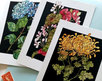 Set di cartoline floreali - 3 stampe di illustrazioni floreali A6