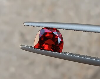 May include: A deep red gemstone held by silver tweezers. The gemstone is oval shaped and has a faceted cut.