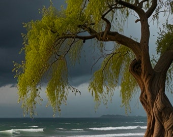 Android and iPhone static wallpaper 1290px. X 2796px (4 images to download)