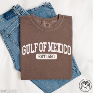Gulf of Mexico T-shirt, Gulf of Mexico Est 1550 Shirt, Subtle Anti Trump Shirt, Gulf Coast T-shirt, Mexican Beach Crewneck Tee, Liberal Gift