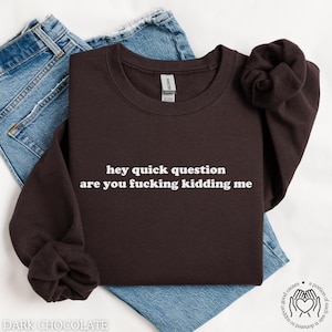 Hey Quick Questions Are You F*cking Kidding Me Sweatshirt, Funny Crewneck, Sarcastic Sweatshirt, Trendy Sweater for Women, Best Friend Gift