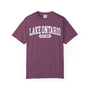 Lake Ontario Est. 1660 T-Shirt, Funny Canada Trump Tariff Shirt, Great Lakes Political Satire Tee, Canadian Lake Lover Gift, Lake of America image 17