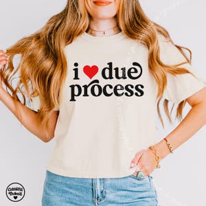 I Love Due Process Cropped T-Shirt, Pro Immigration Top, Subtle Anti Trump Shirt, Comfort Color Tee, Immigrant Rights, Liberal Clothing Gift