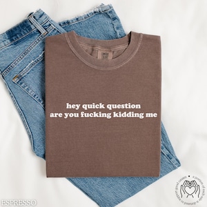 Hey Quick Question Are You F*cking Kidding Me T-Shirt, Comfort Colors® Shirt, Funny Humor Tee, Sarcastic T-Shirt, Trendy Apparel for Women