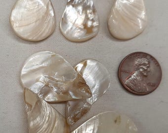 May include: A collection of seven white and cream-colored mother of pearl shell guitar picks. The picks are in various shapes and sizes, including teardrop and round shapes. The picks are arranged on a white fabric surface. A US penny is included for scale.