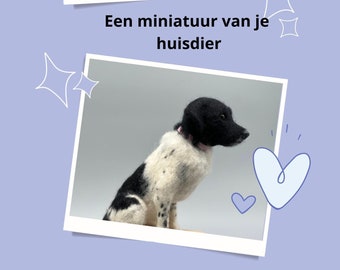 Dein eigenes Haustier als Miniatur? Kleine Version Ihres Haustieres, speziell angefertigt, individuell angefertigt, maßgeschneiderter nadelgefilzter Hund oder Katze