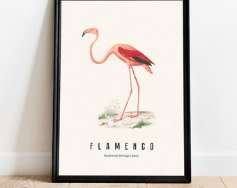 Flamingo Biodiversity Heritage Library Printed Poster Art Decor Interior