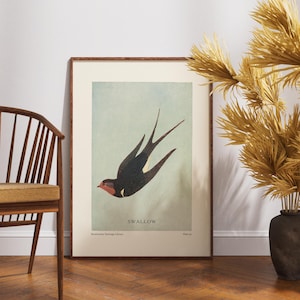 Stampa vintage di rondine, poster di rondine, arte murale di rondini dai colori tenui, poster di uccelli, arte murale di animali, decorazione della stanza, stampa della natura, illustrazione