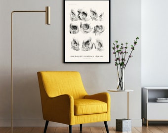 Skulls Biodiversity Heritage Library Printed Poster Art Decor Interior