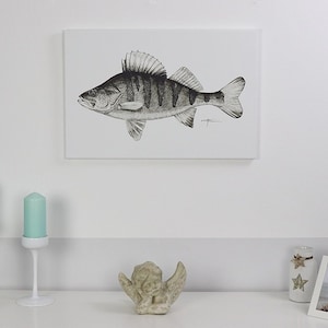 Perch Canvas Print | fish art | Drawing | Painting |  Abborre | Perca | Abbor | Baars | Aborre | Bass | Fishing | Fisch | Kunst | Leinwand