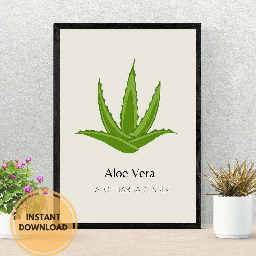 Aloe Vera Plant Art Print Instant Download Printable Art Leaf and Plant ...