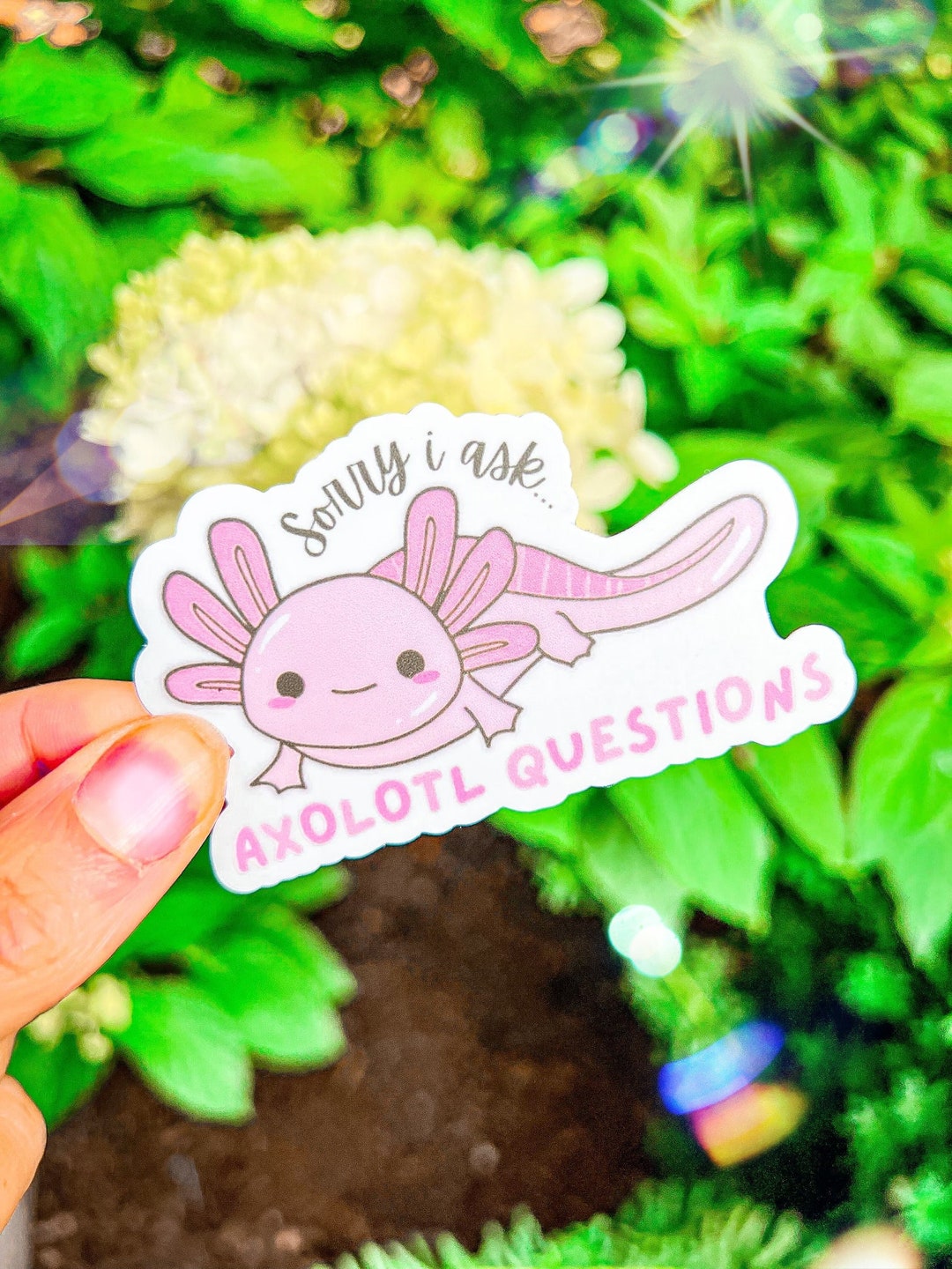 Axolotl Axolotl Sticker Kawaii Sticker Water Bottle Etsy