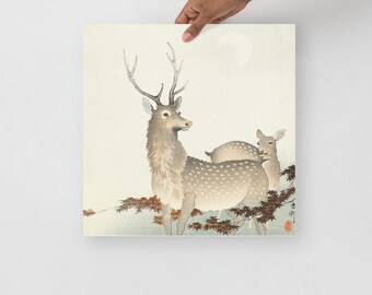 Couple of deers (1900 - 1930) by Ohara Koson (1877-1945) Japanese Art
