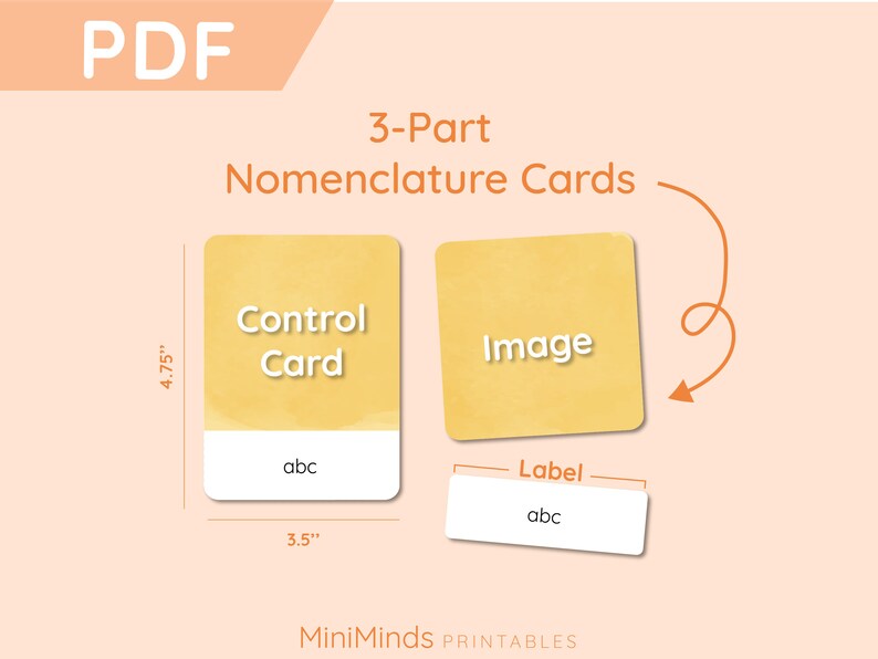 TELLING TIME Nomenclature 3 Part Cards Montessori Friendly - Etsy