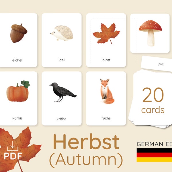 HERBST/OTOÑO / Edición alemana / Nomenclatura de otoño Tarjetas de 3 partes / Montessori Friendly / Actividad de tarjetas didácticas educativas e imprimibles