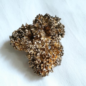 Flora Danica Denmark Sterling Silver pin brooch