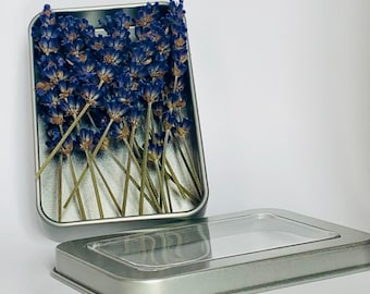 Lavender Culinary Spikes