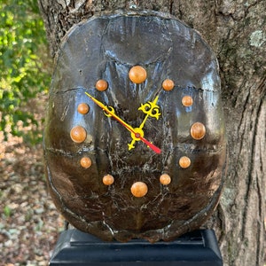 May include: A unique clock made from a turtle shell with wooden hour markers and yellow hands. The clock is mounted on a black wooden base.