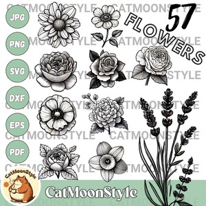 57 Flowers SVG Bundle, Floral Line Art SVG, Line Art Flower PNG, Flowers Clipart, Botanical Clipart Pack, Plant Svg Clipart
