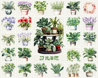37 Watercolor House Plants Clipart - Watercolor Gardening Download - Instant Download - Philadendrum - Dangling Vines - Fern - Snake Plant