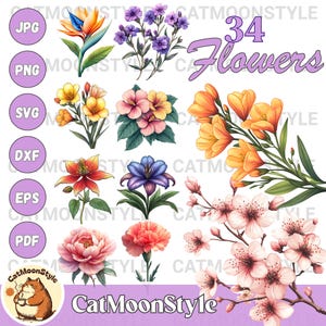 34 Flowers SVG Bundle, Floral Line Art SVG, Line Art Flower PNG, Flowers Clipart, Botanical Clipart Pack, Plant Svg Clipart