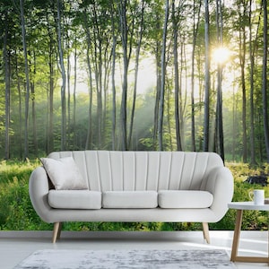 Sun rays in a Green forest Removable Wallpaper, Peel and Stick, Self-Adhesive , Nature Wall Mural , Living Room mural Home Decor