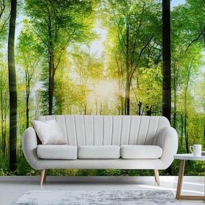 Sunny Forest Removable Wallpaper, Peel and Stick, Self-Adhesive , Green Forest trees Wall Mural , Forest Living Room mural