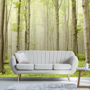 Verzauberte Frühlingswald Abnehmbare Tapete, Schälen und Aufkleben, Selbstklebend, Nebel Buchen Wandbild, Wald Wohnzimmer Wandbild