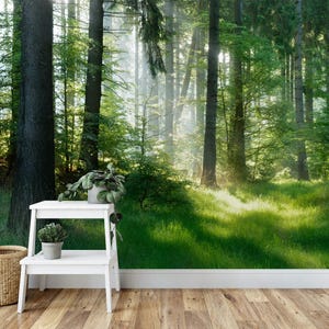 Green forest Removable Wallpaper, Peel and Stick, Self-Adhesive , Nature Wall Mural , Living Room mural Home Decor