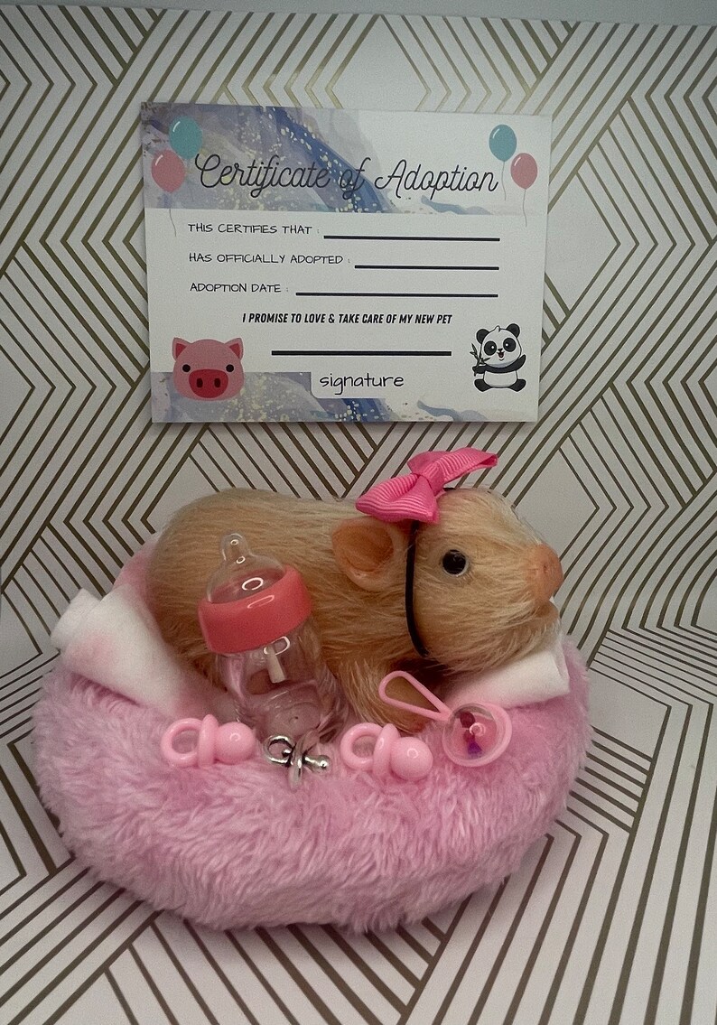 Silicone Teacup Pig Adoption Package Teacup Realistic Piglet Etsy