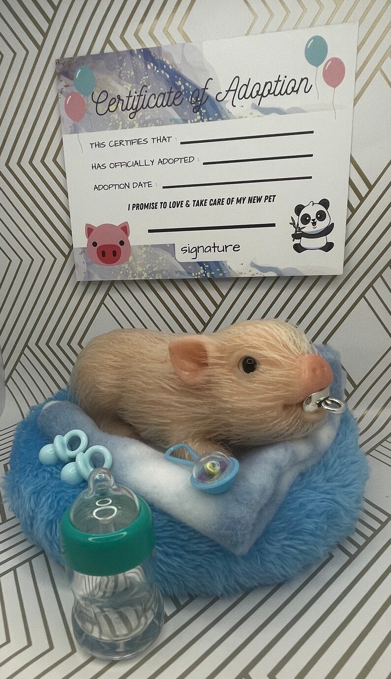 Silicone Teacup Pig Adoption Package Teacup Realistic Piglet Etsy