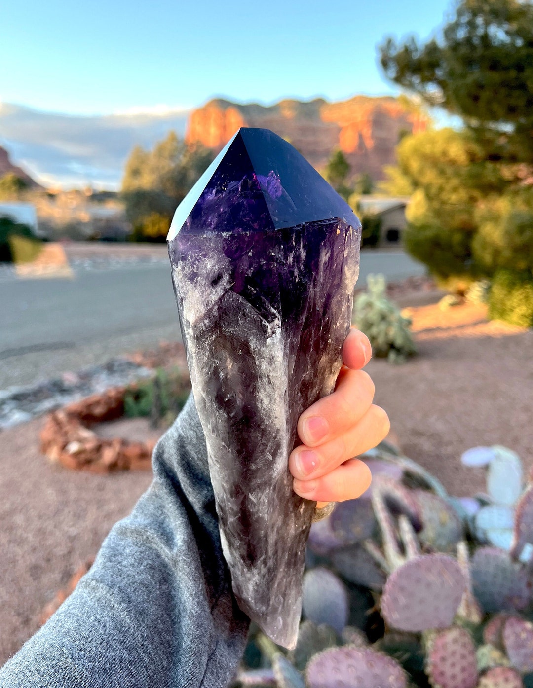 Amethyst Dragon Tooth Root Staff Wand Raw Natural Amazing Healing