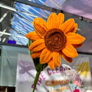 Scovolini Colorati Per Lavoretti - 300 Pezzi Con Steli E Nastri Per Creare Bouquet Fai Da Te - Foto 8