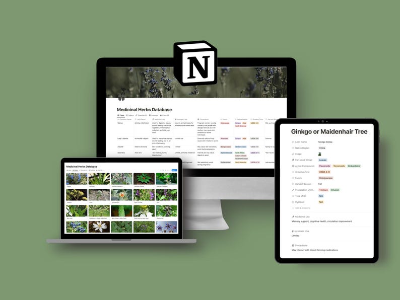 Medicinal Herbs Database With 100 Plant Monographs | Notion Template ...