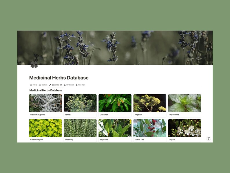 Medicinal Herbs Database With 100 Plant Monographs | Notion Template ...