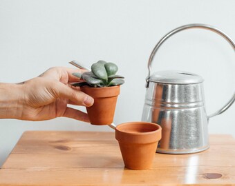 Vintage Small Handmade Terracotta Planter for Cacti and Succulents