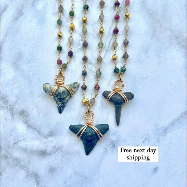 Collier dent de requin • Dents de requin authentiques • Bijoux fossiles • Collier de plage