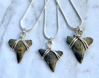 Handgemaakte ketting met haaientand • Hanger van natuurlijk fossiel • Strand-geïnspireerde sieraden voor mannen en vrouwen