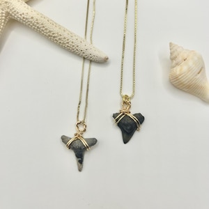 Shark Tooth Necklace • Shark Teeth • Surfer Jewelry • Beach Necklace