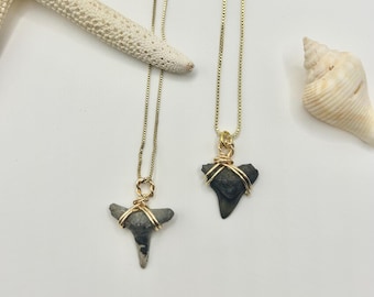 Shark Tooth Necklace • Shark Teeth • Surfer Jewelry • Beach Necklace
