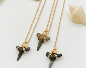 クラシックなサメの歯のネックレス - Etsy 日本