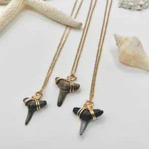 Shark Tooth Necklace • Authentic Shark Teeth • Surfer Jewelry • Fossil Necklace