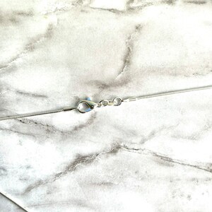 May include: A silver chain necklace with a lobster clasp closure.